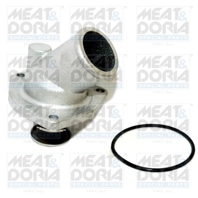 Thermostat, coolant